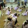 Lec Demo 2010